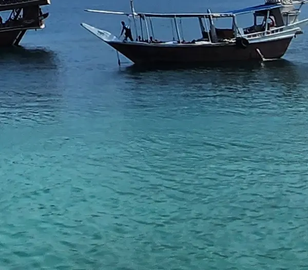 Experienced Captains